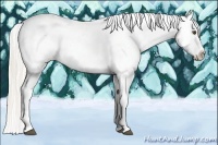 Horse Color:White Spotted Silver Buckskin Dun Splash Tobiano Varnish Rabicano 