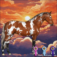 Horse Color:Gray White Spotted Silver Buckskin 