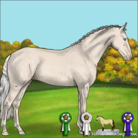 Horse Color:Silver Smoky Creme 