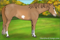 Horse Color:Chestnut Splash Frame 