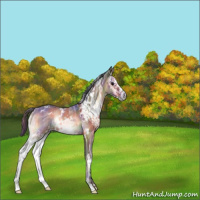 Horse Color:Nacre White Spotted Bay Ice Onyx