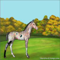 Horse Color:Nacre White Spotted Bay Ice Onyx
