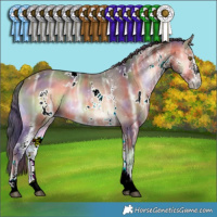 Horse Color:Nacre White Spotted Bay Ice Onyx