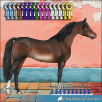 Horse Color:Brown 