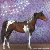 Horse Color:Liver Chestnut Tobiano Varnish 