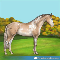 Horse Color:White Spotted Chocolate Palomino Pearl 
