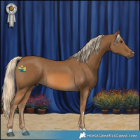 Horse Color:Chocolate Palomino 