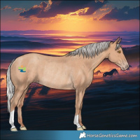 Horse Color:Silver Classic Champagne Rabicano 