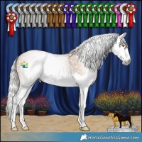 Horse Color:Gray Silver Classic Champagne Splash