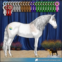 Horse Color:Gray Silver Classic Champagne Splash 