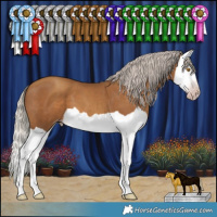 Horse Color:Gray Silver Classic Champagne Splash 
