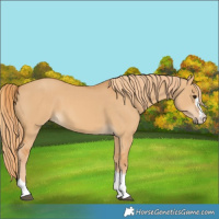 Horse Color:Red Dun 