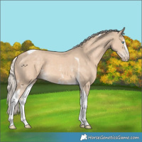 Horse Color:White Spotted Cremello Tobiano 