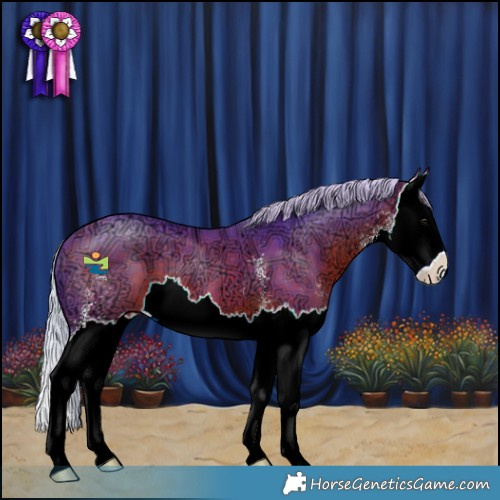 Horse Color:Watercolor Silver Bay Ice Sabino Splash 