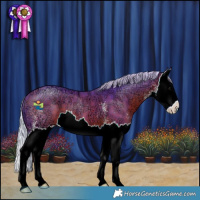 Horse Color:Watercolor Silver Bay Ice Sabino Splash