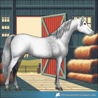 Horse Color:Gray Black 