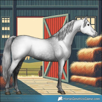 Horse Color:Gray Black 