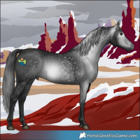 Horse Color:Gray Black 