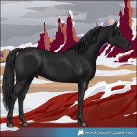 Horse Color:Gray Black 