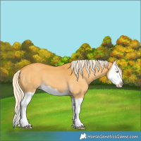 Horse Color:Palomino Splash