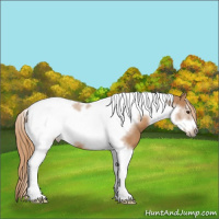 Horse Color:Chestnut Tobiano Frame 