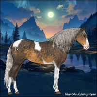 Horse Color:Silver Smoky Black Splash Tobiano