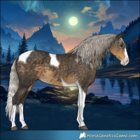 Horse Color:Silver Smoky Black Splash Tobiano 