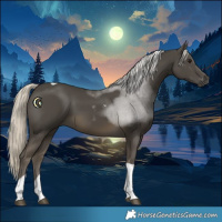 Horse Color:Silver Smoky Black Tobiano 