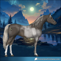 Horse Color:Silver Smoky Black Tobiano 