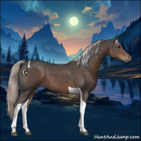 Horse Color:Silver Black Tobiano 