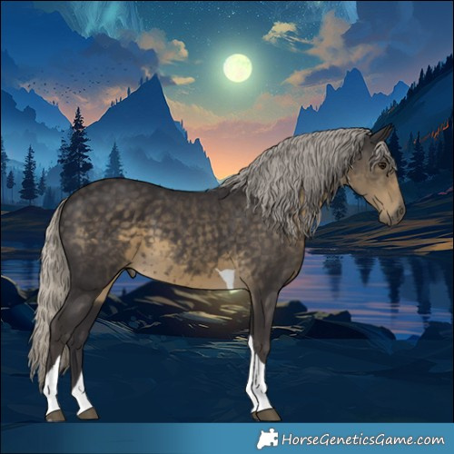 Horse Color:Silver Smoky Black Tobiano 