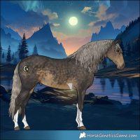 Horse Color:Silver Smoky Black Tobiano