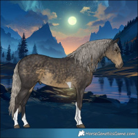 Horse Color:Silver Smoky Black Tobiano 