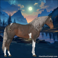 Horse Color:Silver Black Tobiano