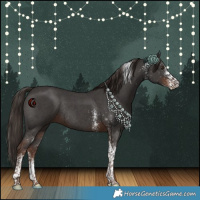 Horse Color:White Spotted Liver Chestnut Tobiano Rabicano 
