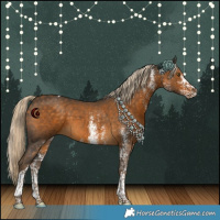 Horse Color:White Spotted Chocolate Palomino Tobiano 