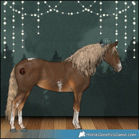 Horse Color:White Spotted Chocolate Palomino Tobiano 