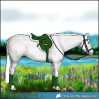 Horse Color:Gray Silver Amber Cream Champagne Splash 