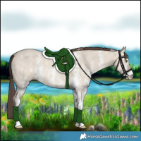 Horse Color:Amber Champagne Dun Sabino