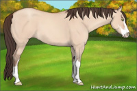 Horse Color:Amber Champagne Dun Sabino