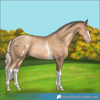 Horse Color:White Spotted Chocolate Palomino Pearl 