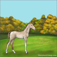 Horse Color:White Spotted Liver Red Dun Pearl Tobiano 