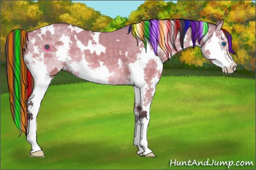 Horse Color:Painted White Spotted Buckskin Dun Splash 