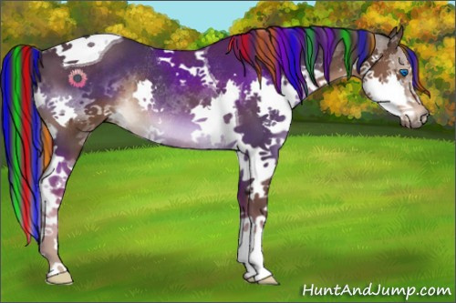 Horse Color:Painted Liver Chestnut Splash Tobiano Rabicano 