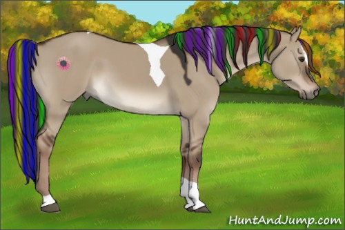 Horse Color:Painted Liver Red Dun Sabino Tobiano 