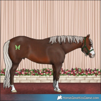 Horse Color:Silver Brown 