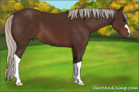 Horse Color:Silver Brown 