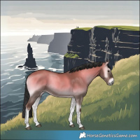 Horse Color:White Spotted Liver Red Dun Onyx 