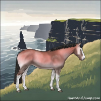 Horse Color:White Spotted Liver Red Dun Onyx 