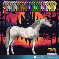 Horse Color:White Spotted Brown Tobiano Appaloosa Rabicano 